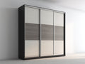 Kleiderschrank Holzwerkstoff 210x65x220 cm - Schwarz-Beige-Grau - modernes Schiebetürdesign